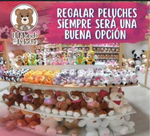 Imagen de galería