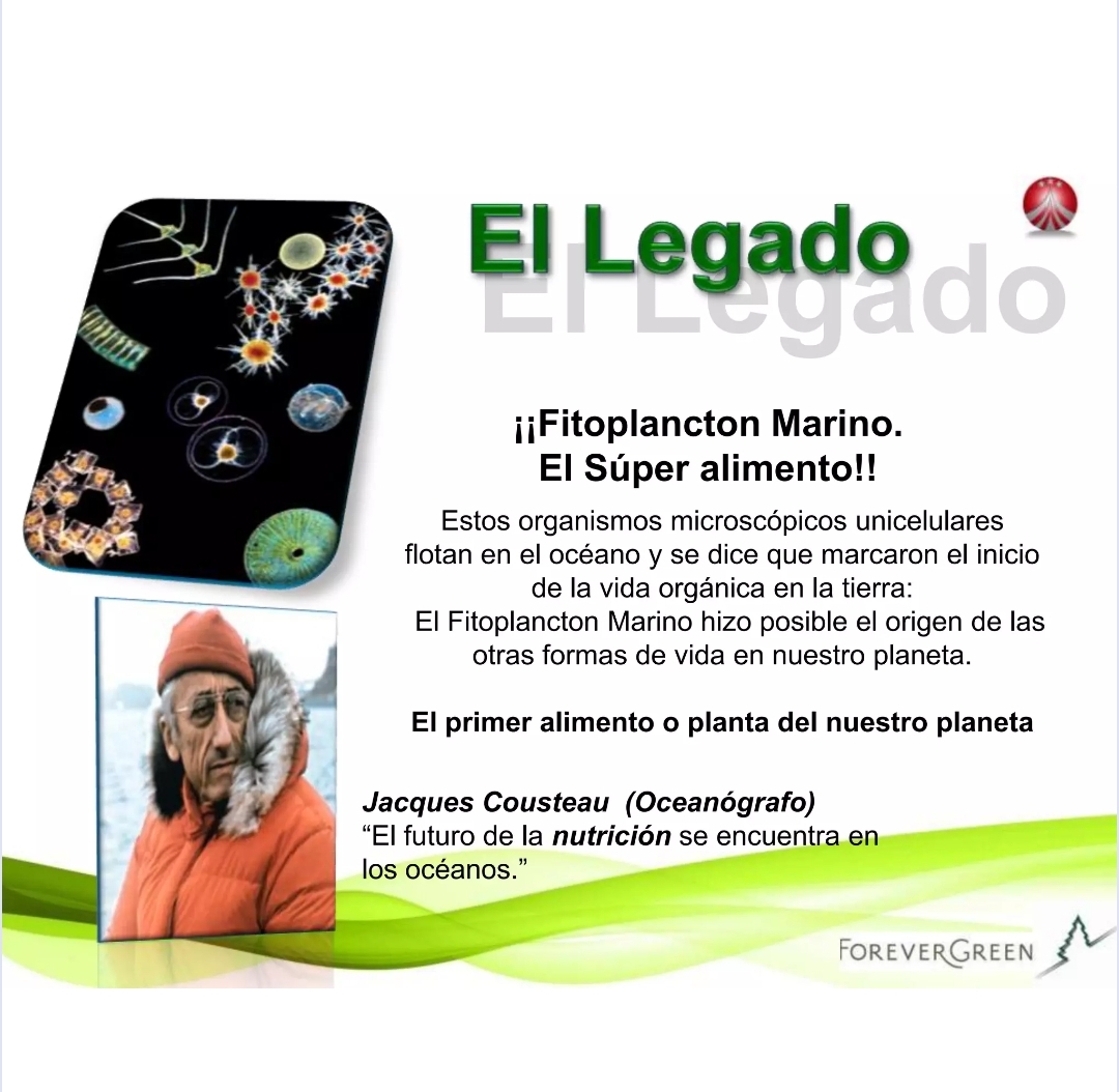 Imagen de galería