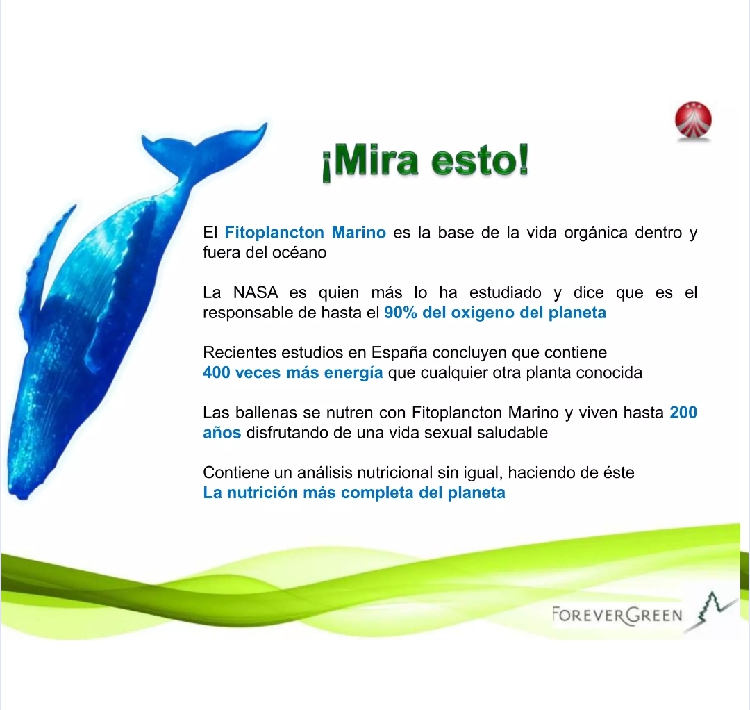 Imagen de galería