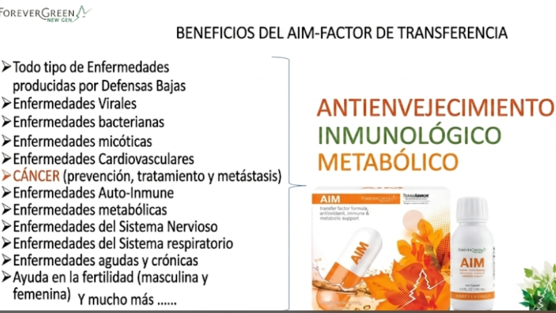 Imagen de galería