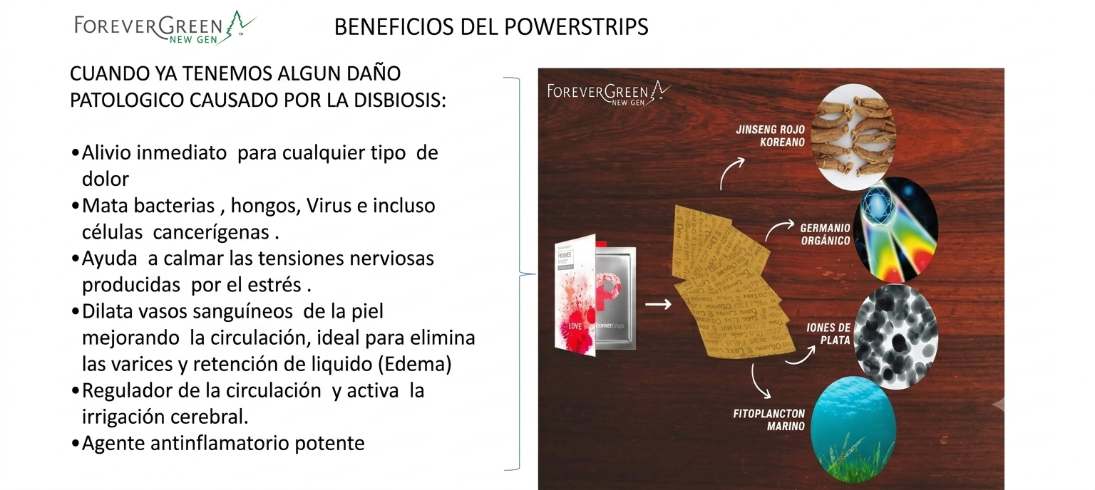 Imagen de galería
