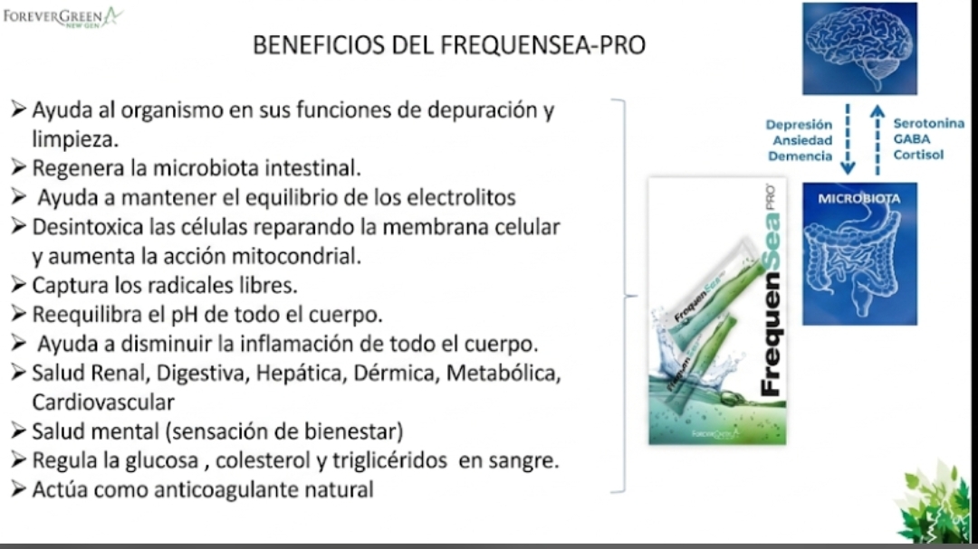 Imagen de galería