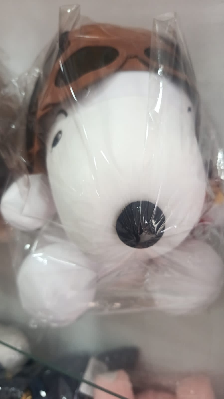 Snoopy Aviador