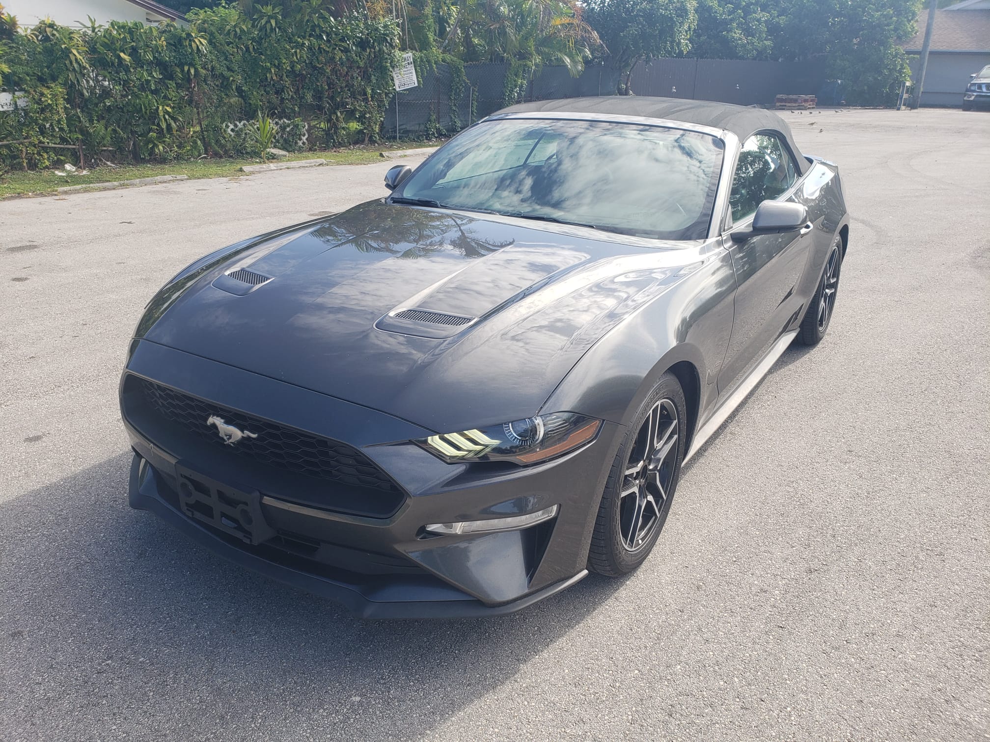 71.) 2019 FORD Mustang  Convertible